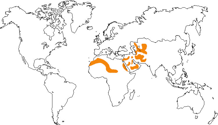 Aire de répartition du chat des sables