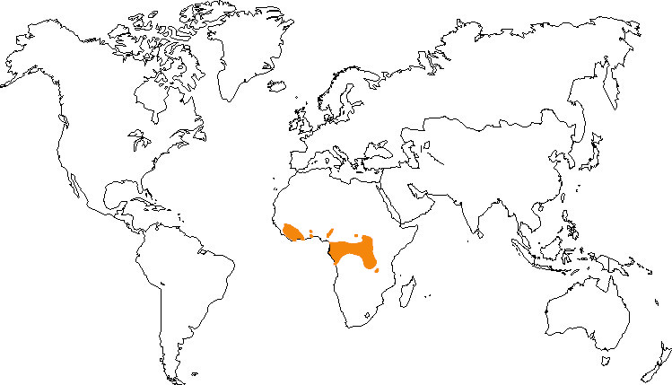 Aire de répartition du chimpanzé