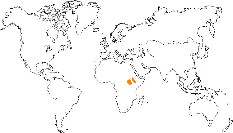 Aire de répartition du cobe de Mrs Gray