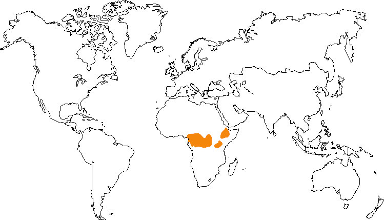 Aire de répartition du colobe guéréza