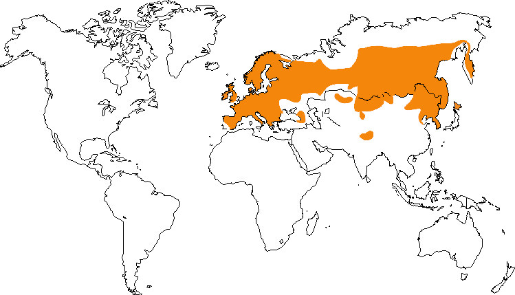 Aire de répartition de l'écureuil roux