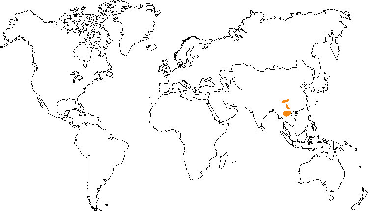 Aire de répartition du gibbon à favoris blancs du Nord