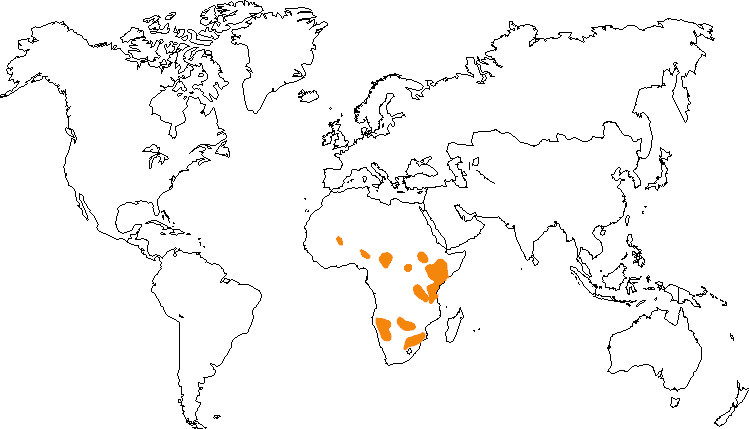 Aire de répartition de la girafe