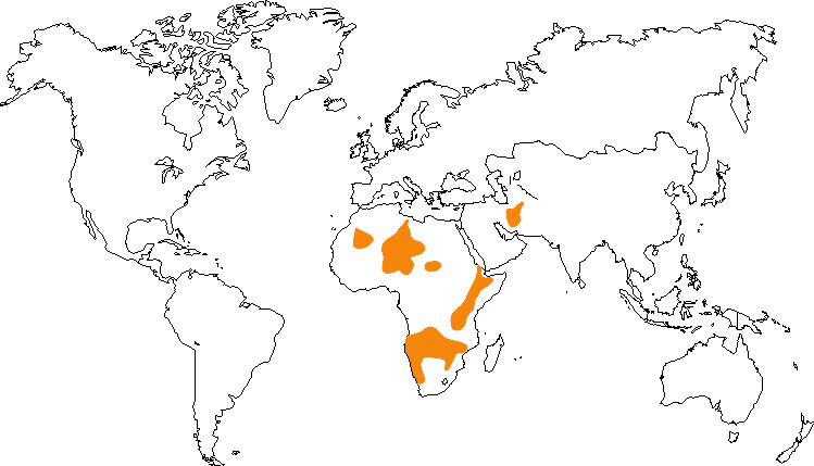 Aire de répartition du guépard