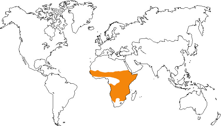 Aire de répartition de la hyène tachetée