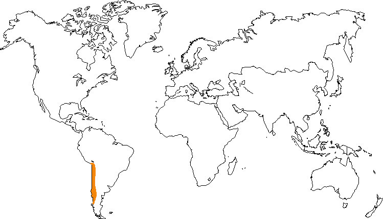 Aire de répartition du lama