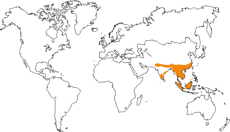 Aire de répartition de la loutre asiatique