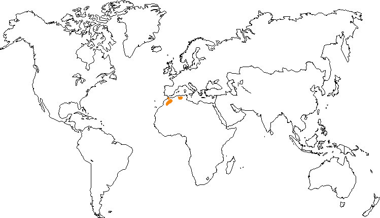 Aire de répartition du macaque de Barbarie