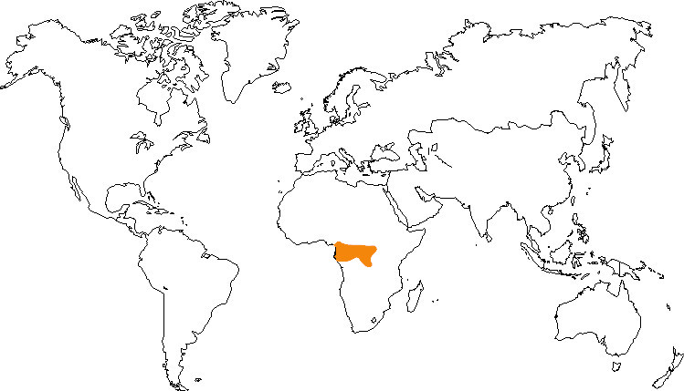 Aire de répartition du mangabey à joues grises