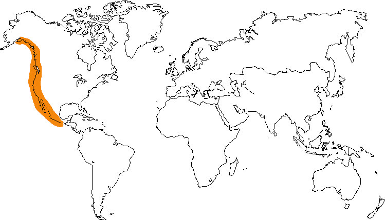 Aire de répartition de l'otarie de Californie