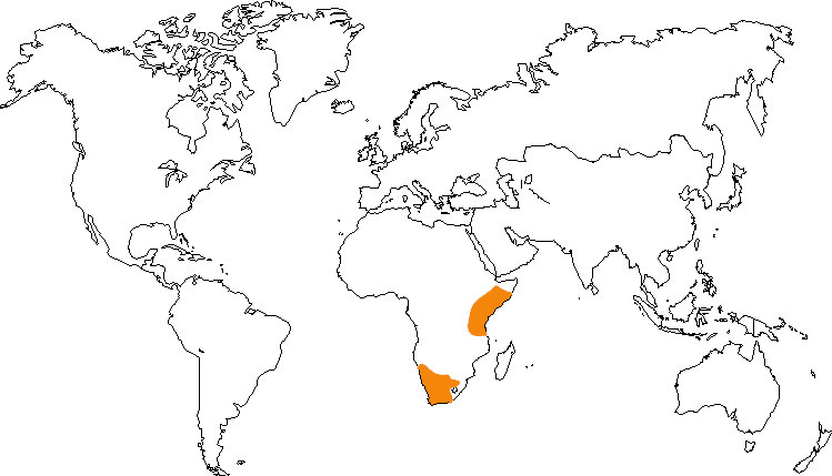 Aire de répartition de l'otocyon