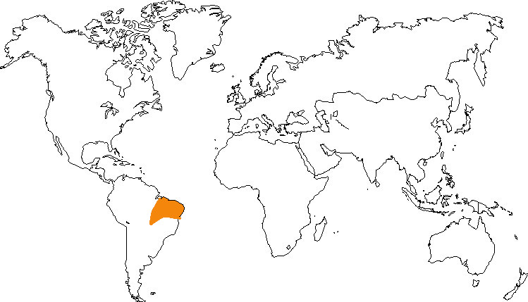 Aire de répartition du ouistiti à pinceaux blancs