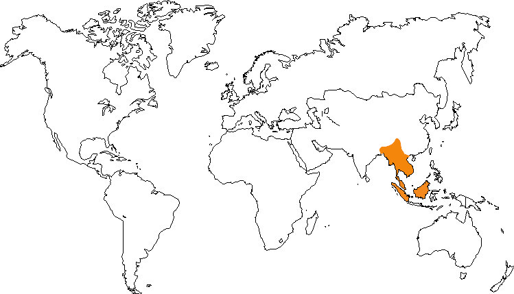 Aire de répartition de l'ours malais