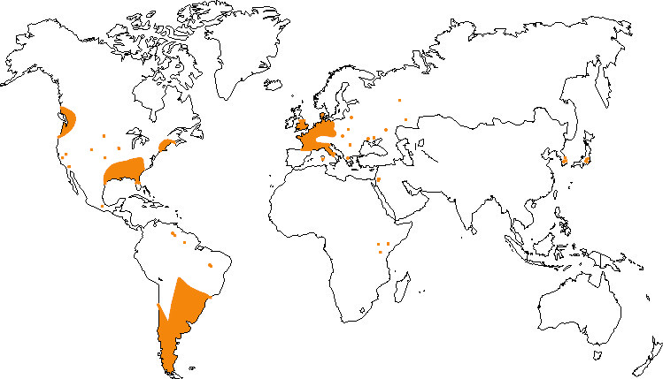 Aire de répartition du ragondin