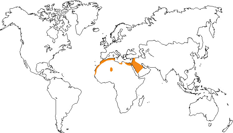 Aire de répartition du rat des sables