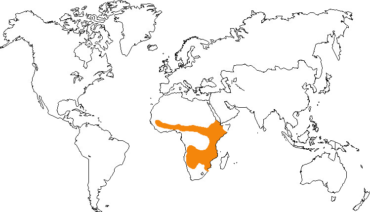 Aire de répartition du serval