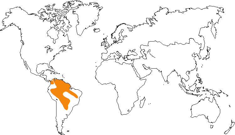 Aire de répartition du ara chloroptère