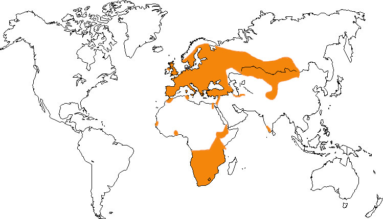 Aire de répartition de la buse variable