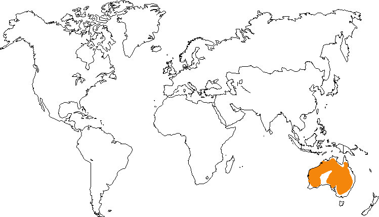 Aire de répartition de la calopsitte élégante