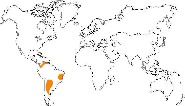 Aire de répartition de la conure à tête bleue