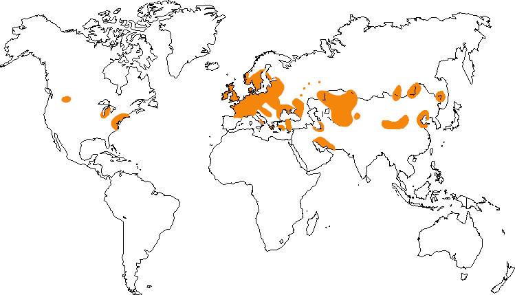 Aire de répartition du cygne tuberculé