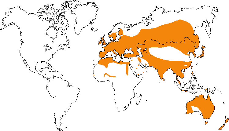 Aire de répartition de la foulque macroule