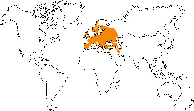 Aire de répartition de la mésange bleue