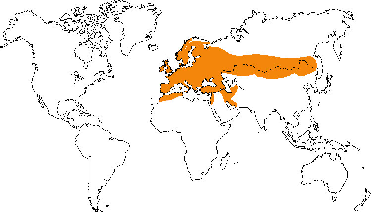 Aire de répartition de la mésange charbonnière