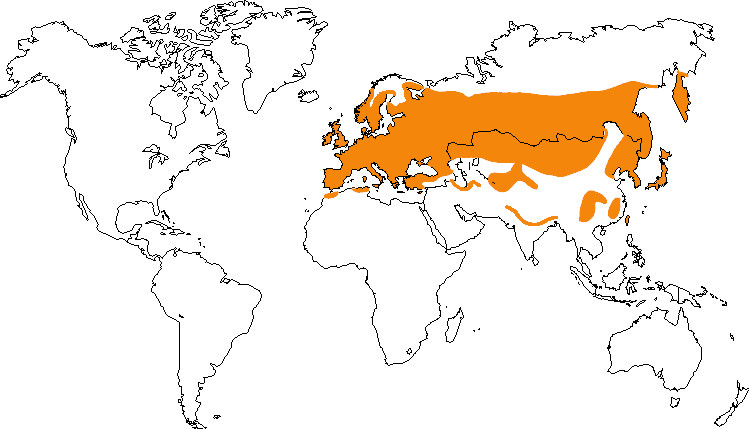 Aire de répartition de la mésange noire