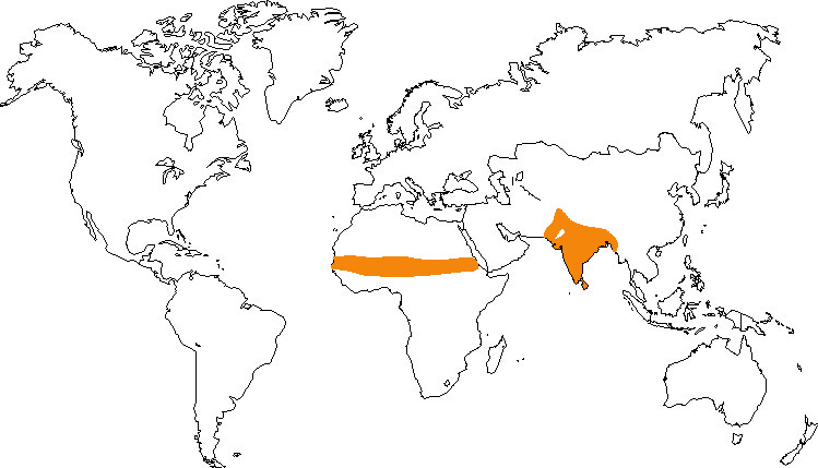 Aire de répartition de la perruche à collier