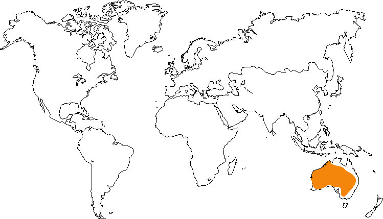 Aire de répartition de la perruche ondulée