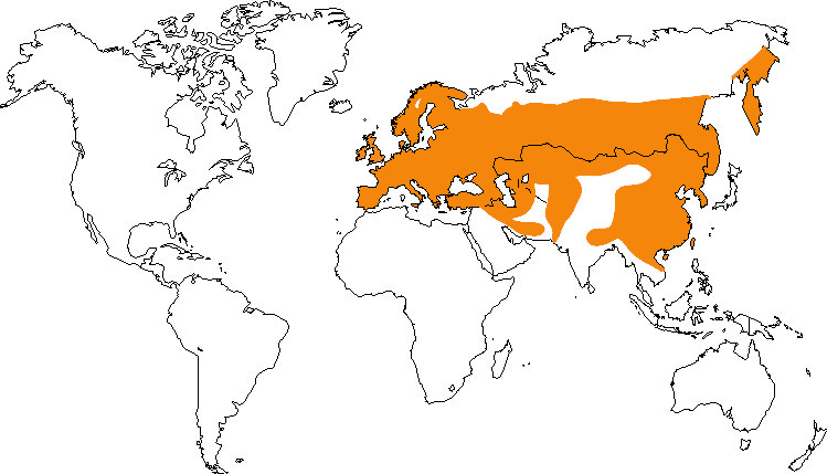 Aire de répartition de la pie bavarde