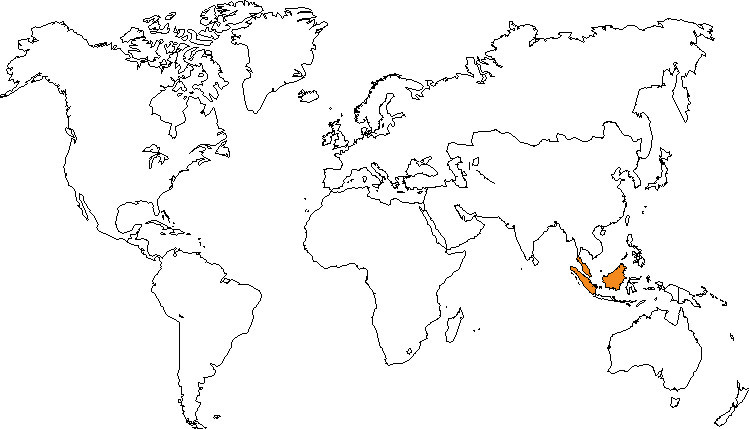 Aire de répartition du roulroul couronné