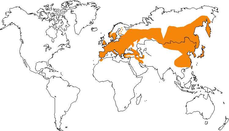 Aire de répartition de la sittelle torchepot